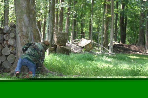 digital paintball,paintball en espaa,paintball ,astur paintball,xtreme paintball.campos de paintball,tiendas paintballcontact paintball,portal paintball